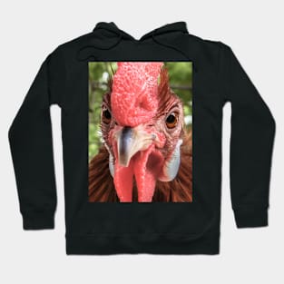 Rooster Photo Hoodie